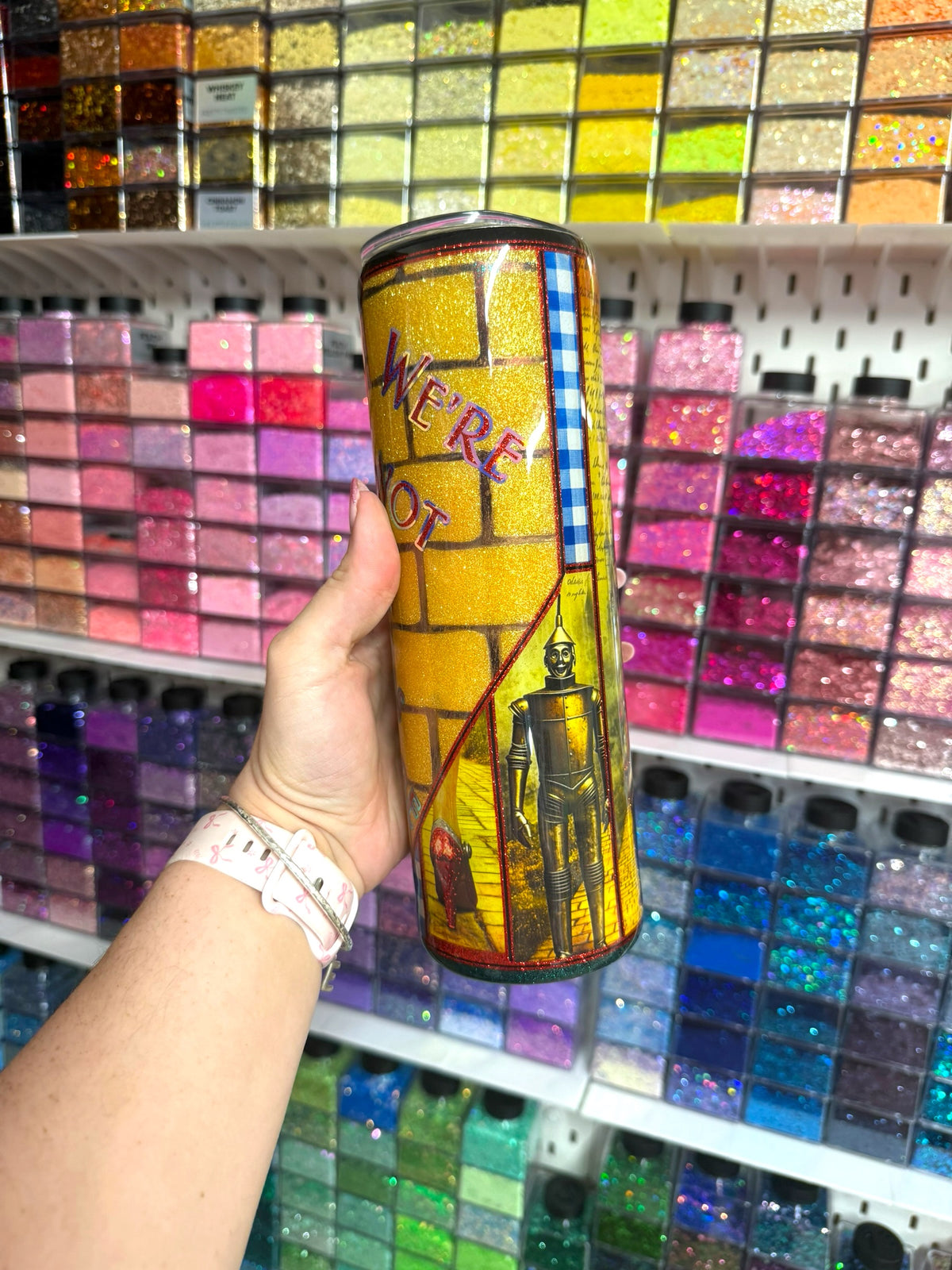 Wizard of Oz 30oz Stainless Steel Glitter Resin Tumbler